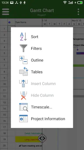 gProjectViewer