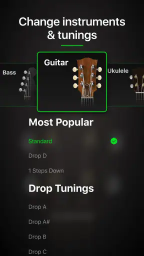 Guitar Tuner Pro: Music Tuning