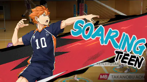 HAIKYU!! FLY HIGH