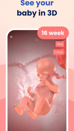 HiMommy: Pregnancy Tracker