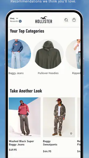 Hollister Co.