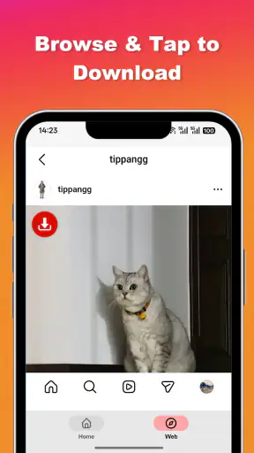Ins Video & Photo Saver