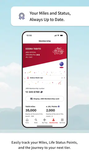 Japan Airlines