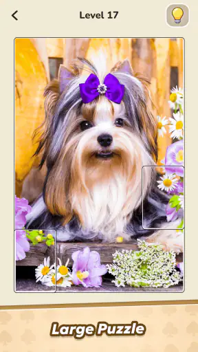 Jigsolitaire Master Puzzle