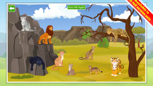 Kids Learn about Animals