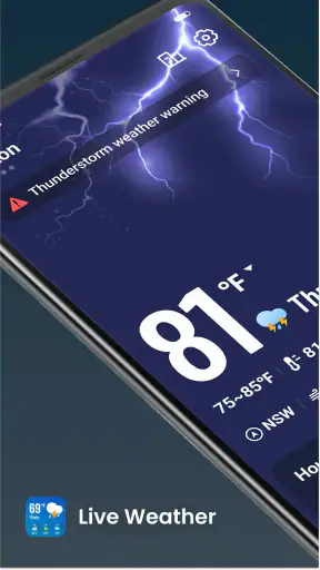 Live Weather: Daily Forecast