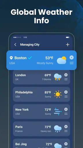 Live Weather: Daily Forecast
