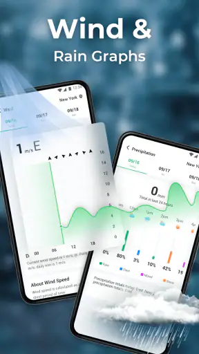 Local Weather: Live & Hourly