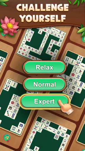 Mahjong ZenLand: Senior Match