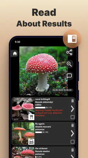 Mushroom Identification