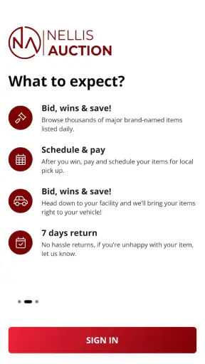 Nellis Auction