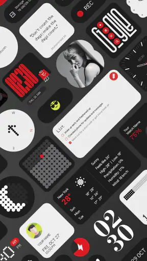 NewThing Widgets Pro