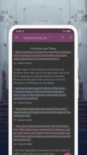 NIV Bible version, Offline app