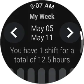 NurseGrid: Nursing Calendar
