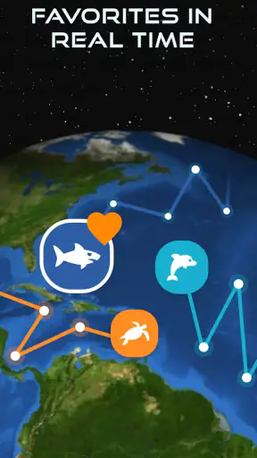 OCEARCH Shark Tracker™