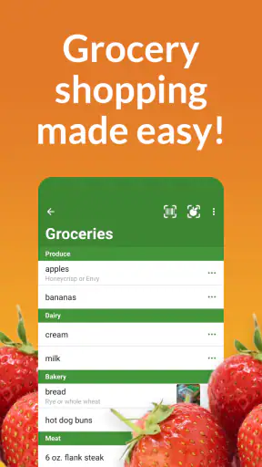 Our Groceries Shopping List