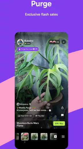 Palmstreet: Buy & Sell LIVE