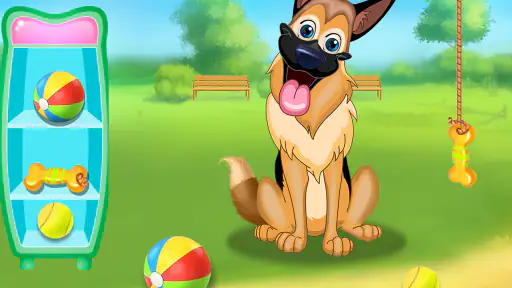 Pet Vet Care Wash Feed Animals