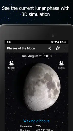 Phases of the Moon