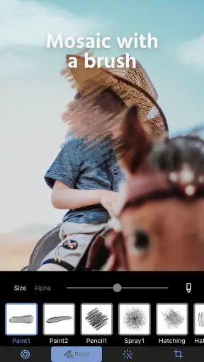 Photo Blur & Mosaic Effects