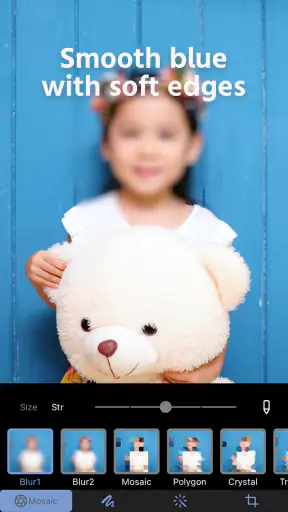 Photo Blur & Mosaic Effects