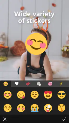 Photo Blur & Mosaic Effects
