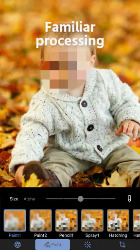 Photo Blur & Mosaic Effects