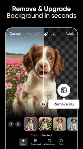 Picsart AI Photo Editor, Video