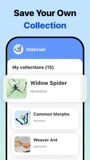 Picture Insect: Bug Identifier