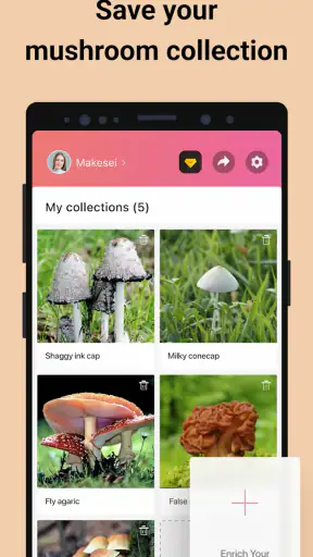 Picture Mushroom - Mushroom ID