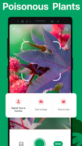 PictureThis - Plant Identifier