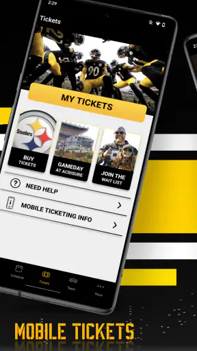 Pittsburgh Steelers