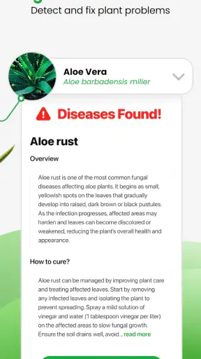 Plant App - Plant Identifier