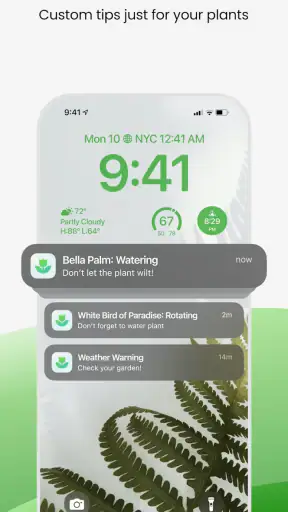 Plant App - Plant Identifier