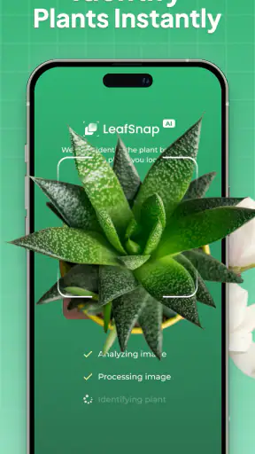 Plant Identifier: LeafSnap
