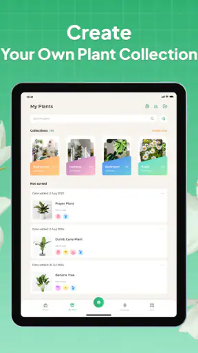 Plant Identifier: LeafSnap