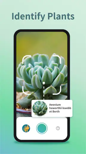 Plant Identifier & Plant Care