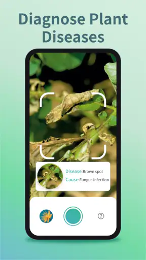 Plant Identifier & Plant Care