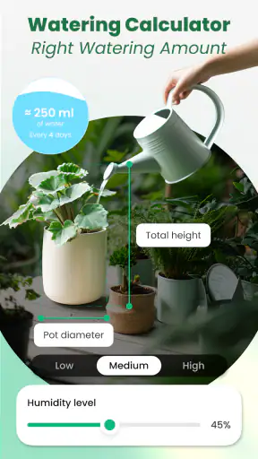Plant Identifier: Tips & Care