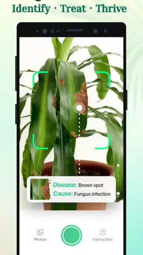 Plant Parent: Plant Care Guide