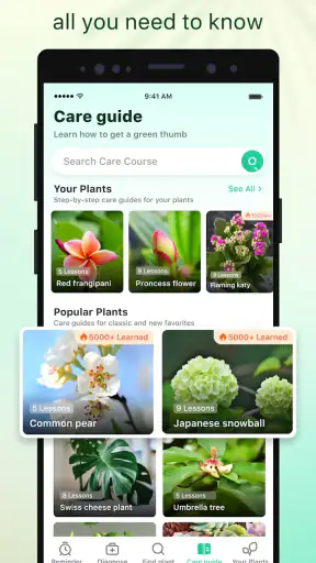 Plant Parent: Plant Care Guide