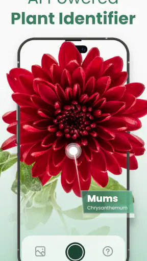 Plantify: AI Plant Identifier