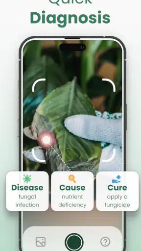 Plantify: AI Plant Identifier