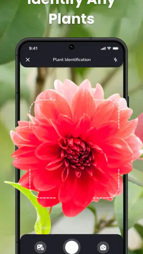 PlantIn Plant Identifier, Care