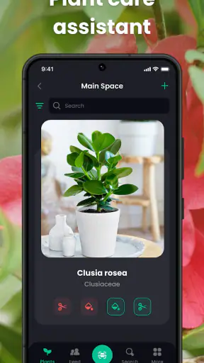 PlantIn Plant Identifier, Care