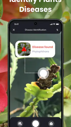 PlantIn Plant Identifier, Care