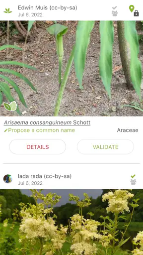 PlantNet Plant Identification