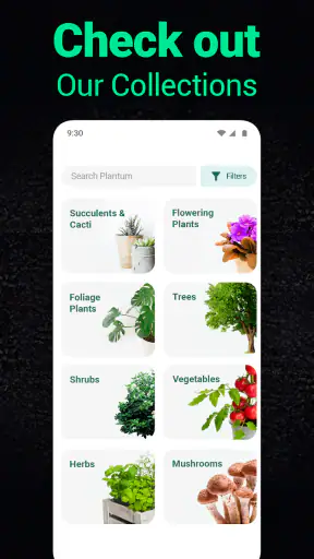 Plantum - Plant Identifier