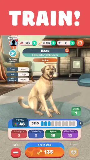 Pocket Paws: My lovely dogs
