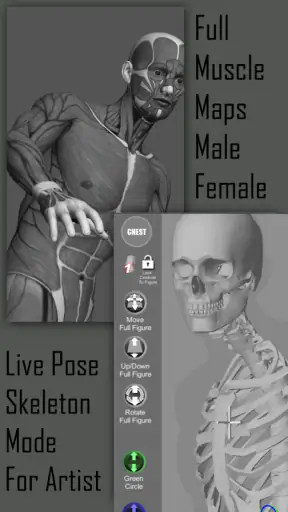 Pose Tool 3D